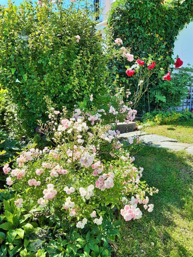 פרנקינג Hotel/Pension Rosengarten מראה חיצוני תמונה