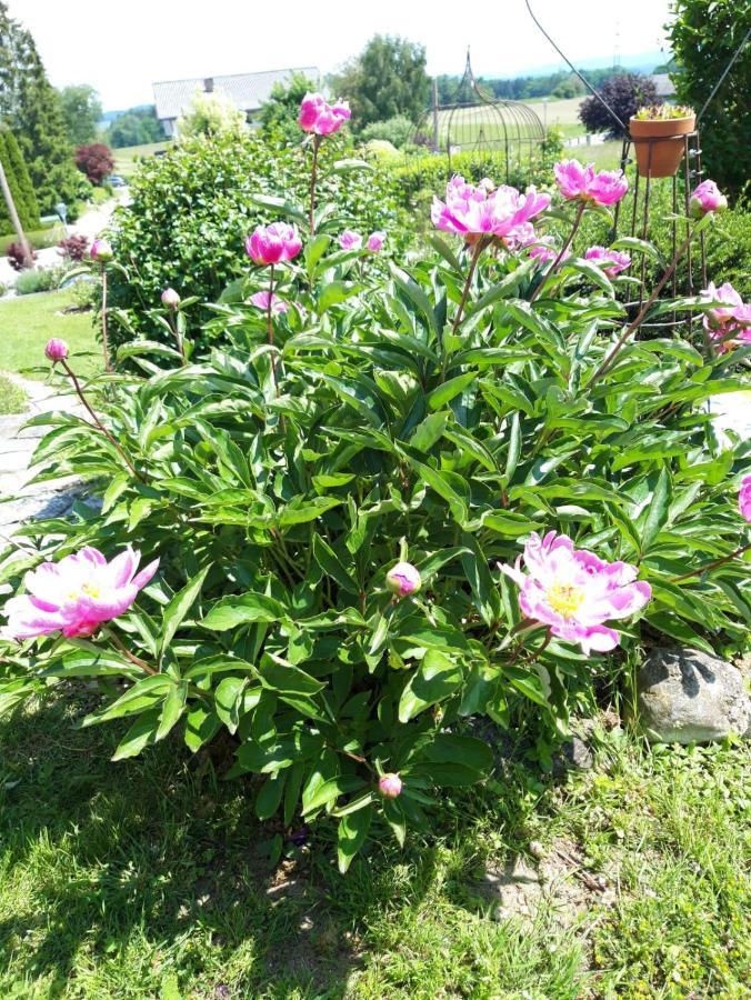 פרנקינג Hotel/Pension Rosengarten מראה חיצוני תמונה